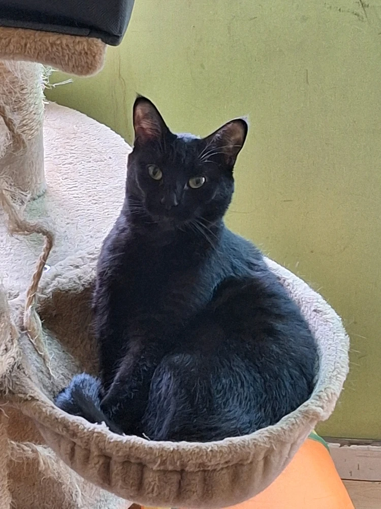 Image uploaded by Anthony