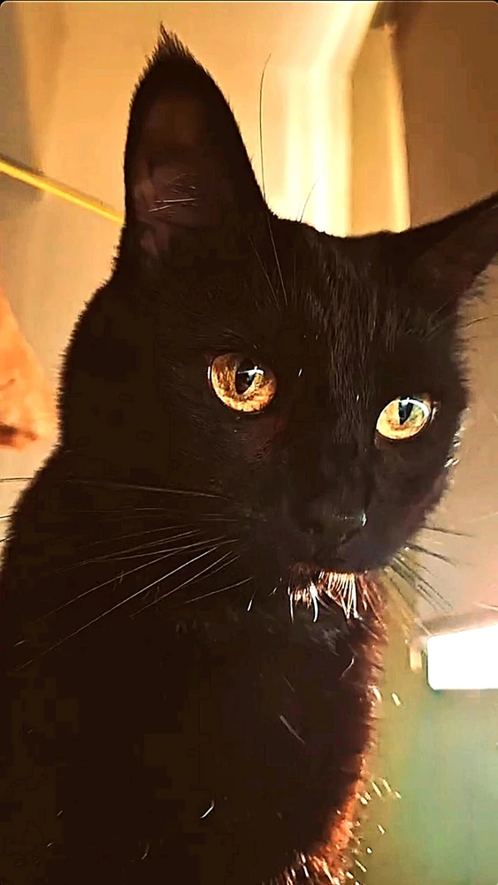 Image uploaded by Anthony