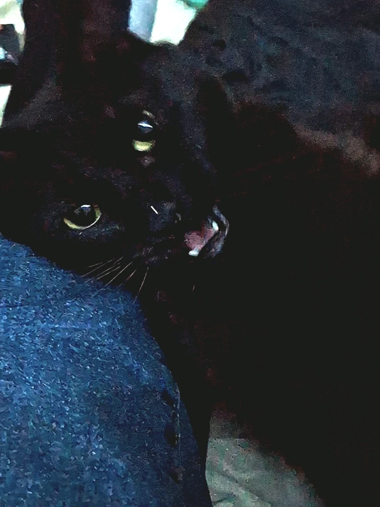 Image uploaded by Anthony