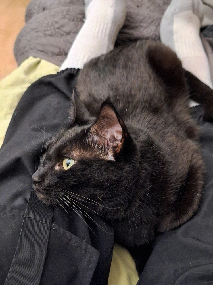 Image uploaded by Anthony