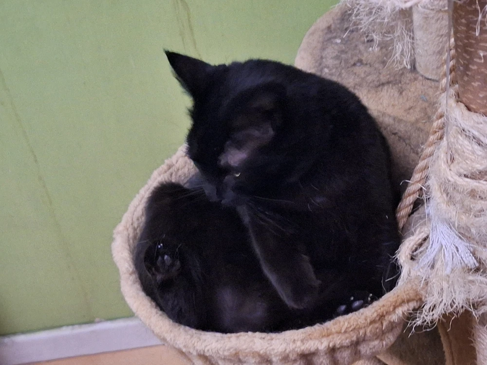 Image uploaded by Anthony