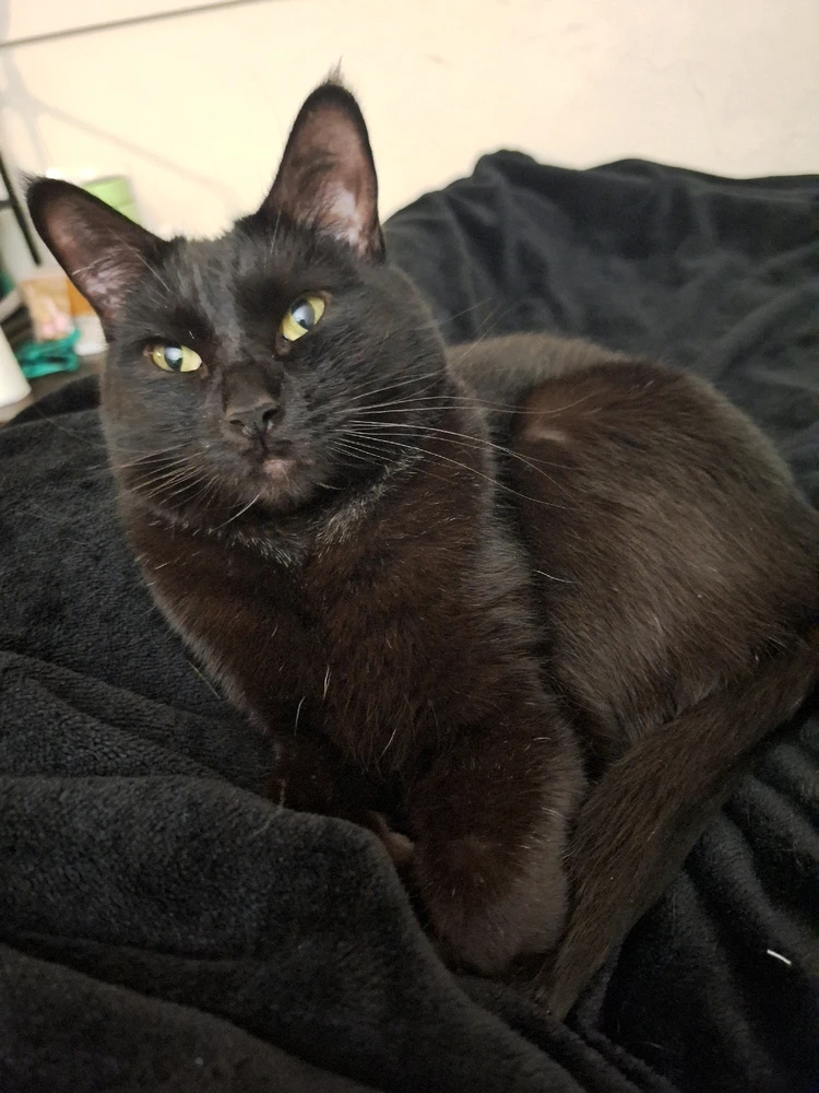 Image uploaded by Anthony