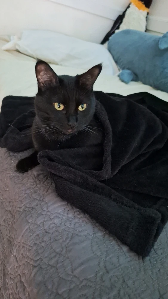 Image uploaded by Anthony