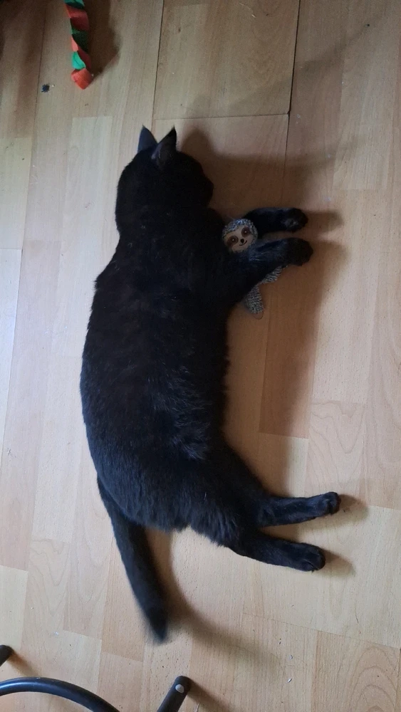 Image uploaded by Anthony