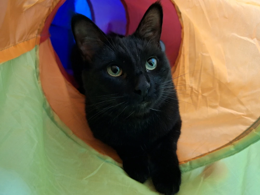 Image uploaded by Anthony