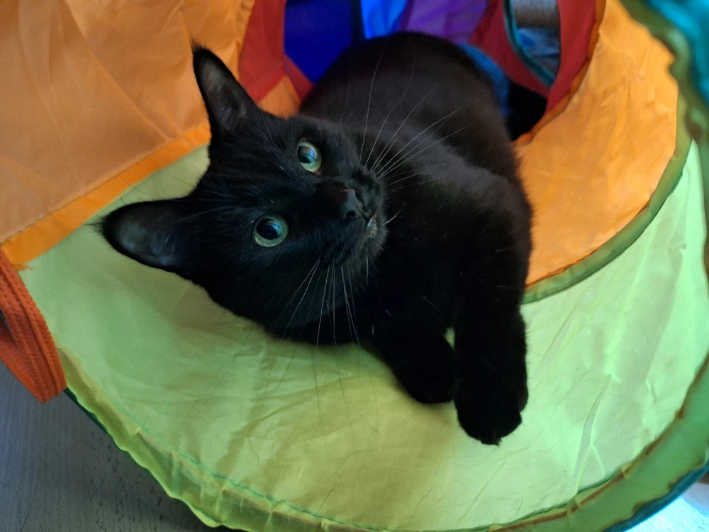 Image uploaded by Anthony