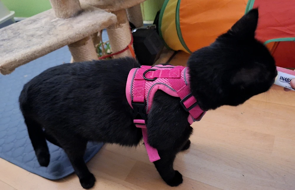 Image uploaded by Anthony