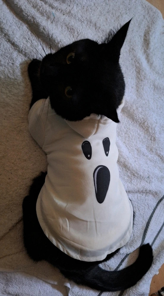 Image uploaded by Anthony