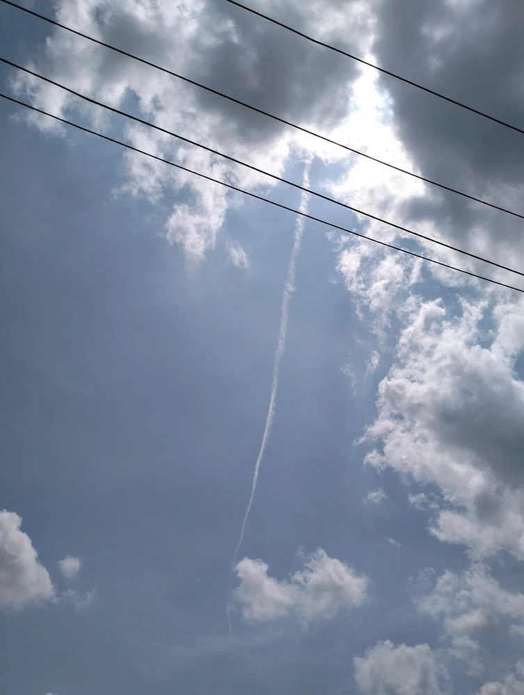 Gambar diunggah oleh Seral