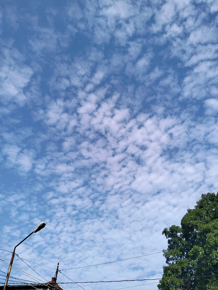 Gambar diunggah oleh Seral