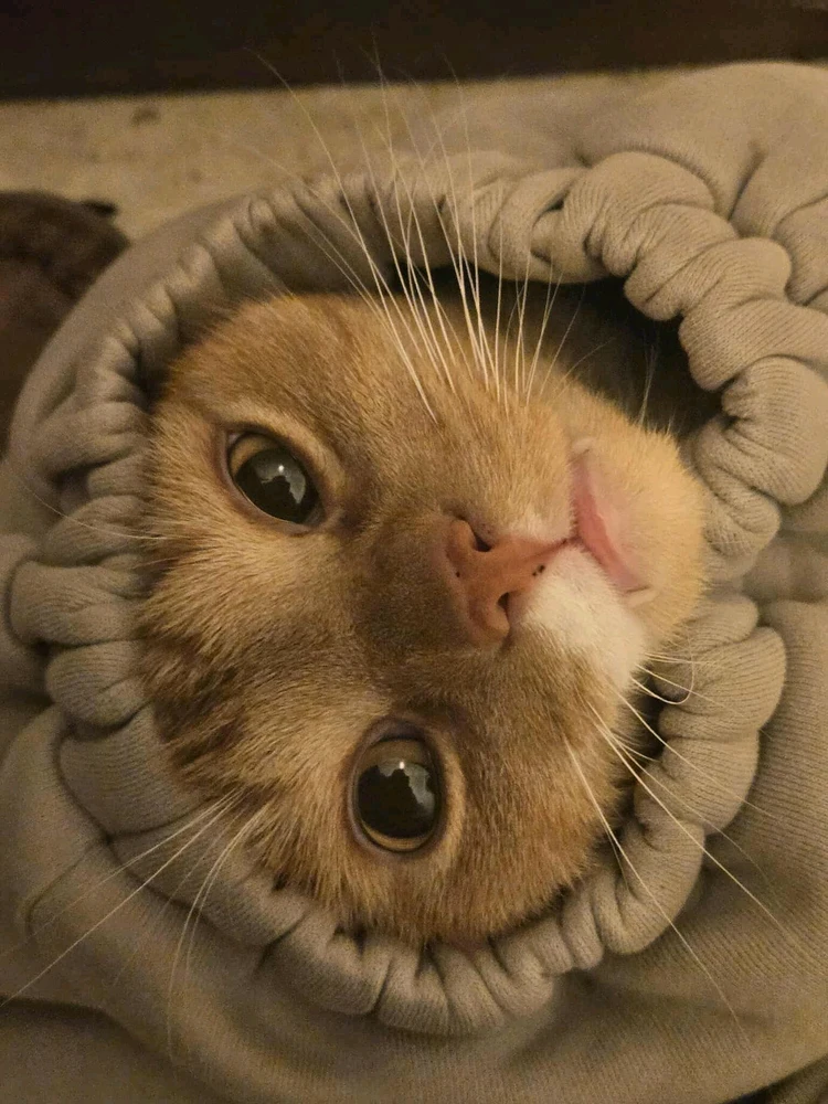 GIF uploaded by Taryn