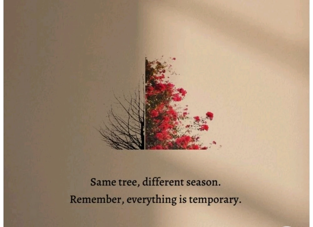 Un coucou du matin 🙋