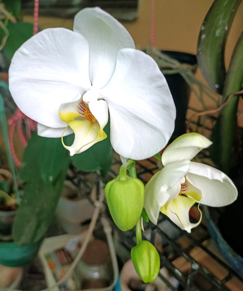 GIF uploaded by Christine