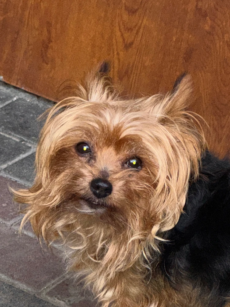 Zdjęcie dodane przez Hiacynt