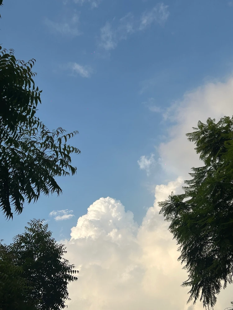Image uploaded by UTKARSH