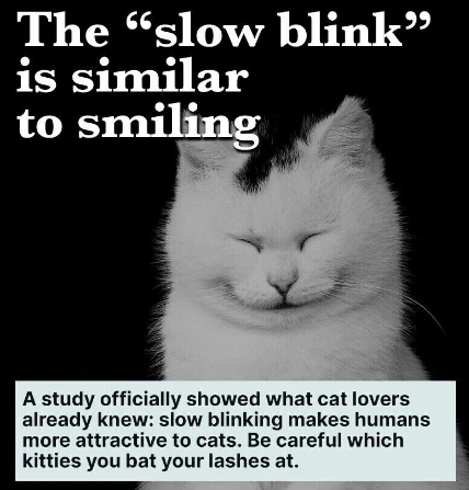 Immagine caricata da Joe M.