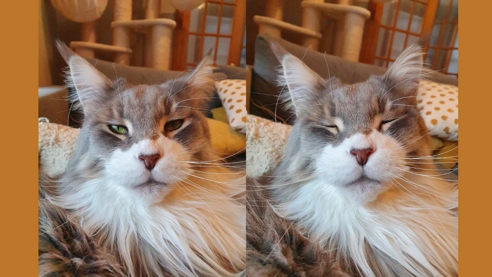 Immagine caricata da Joe M.