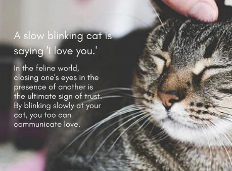 Immagine caricata da Joe M.