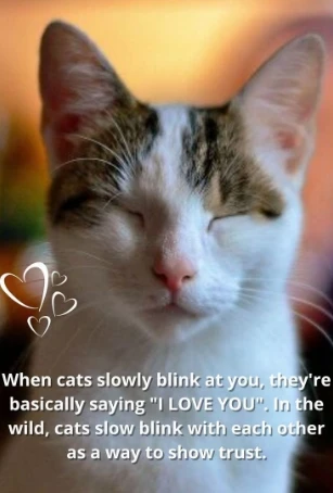 Immagine caricata da Joe M.