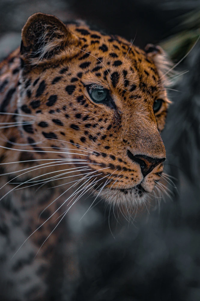 GIF caricata da Antonio