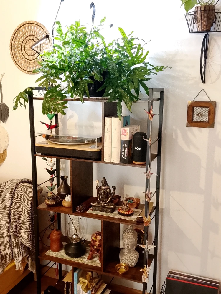 Immagine caricata da Dαηιℓσ