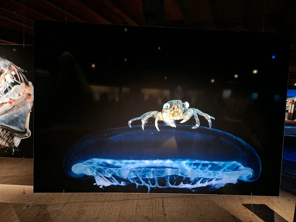 GIF uploaded by Maya