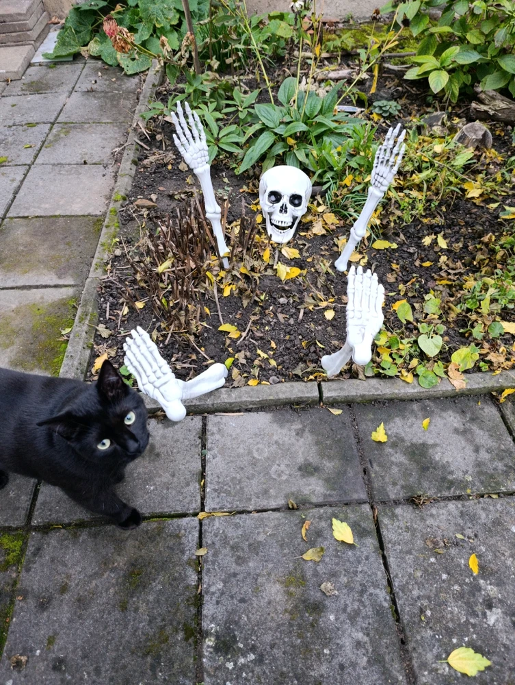 GIF nahrál ⭕⭕ Hlubina