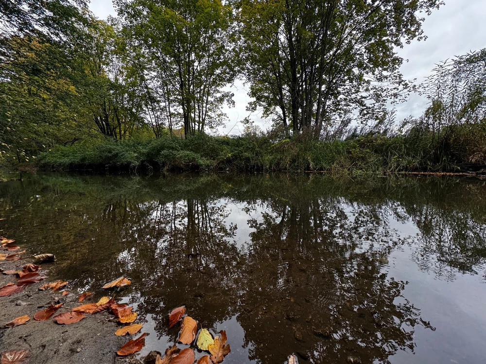GIF uploadet af Thorbjørn