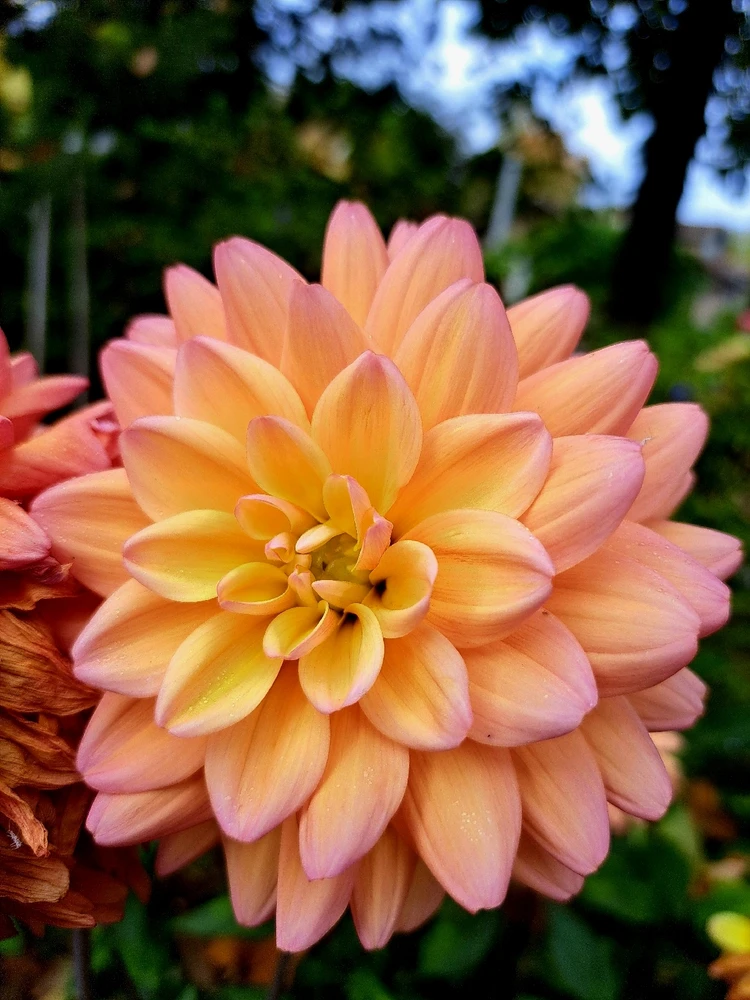 GIF uploaded by JD