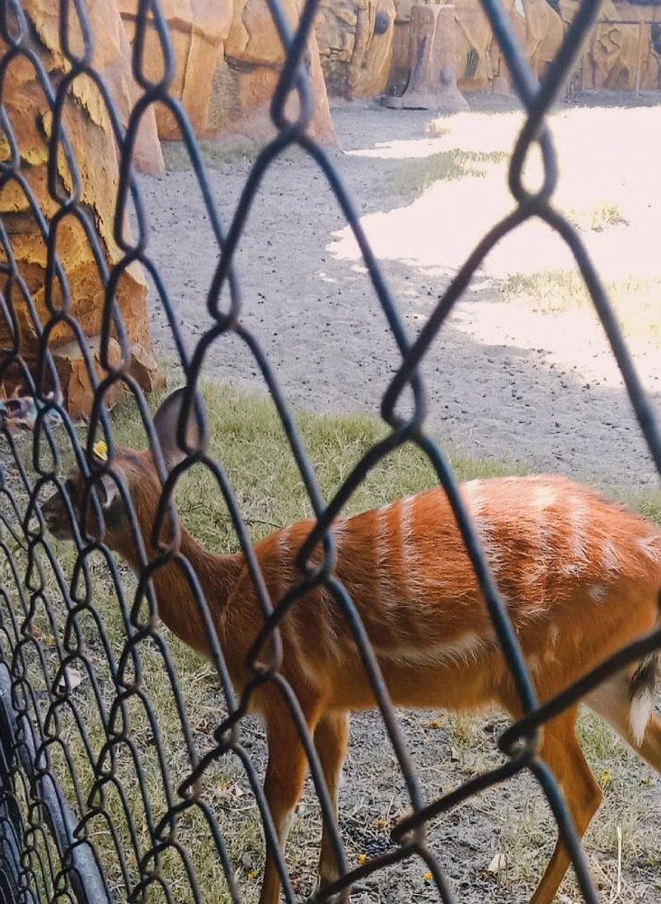 GIF diunggah oleh Rye