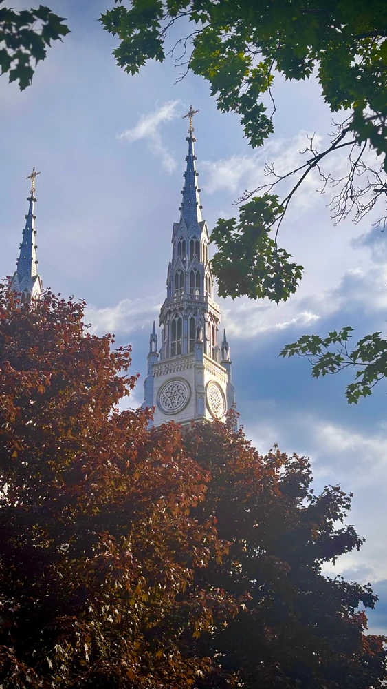 GIF uploaded by Karl