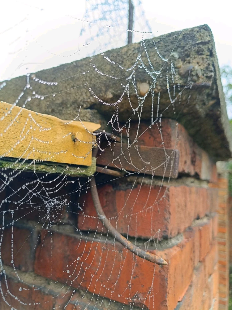 GIF nahrál ⭕⭕ Andrea