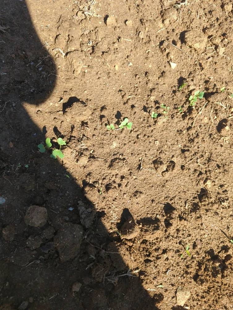 GIF uploaded by Jose