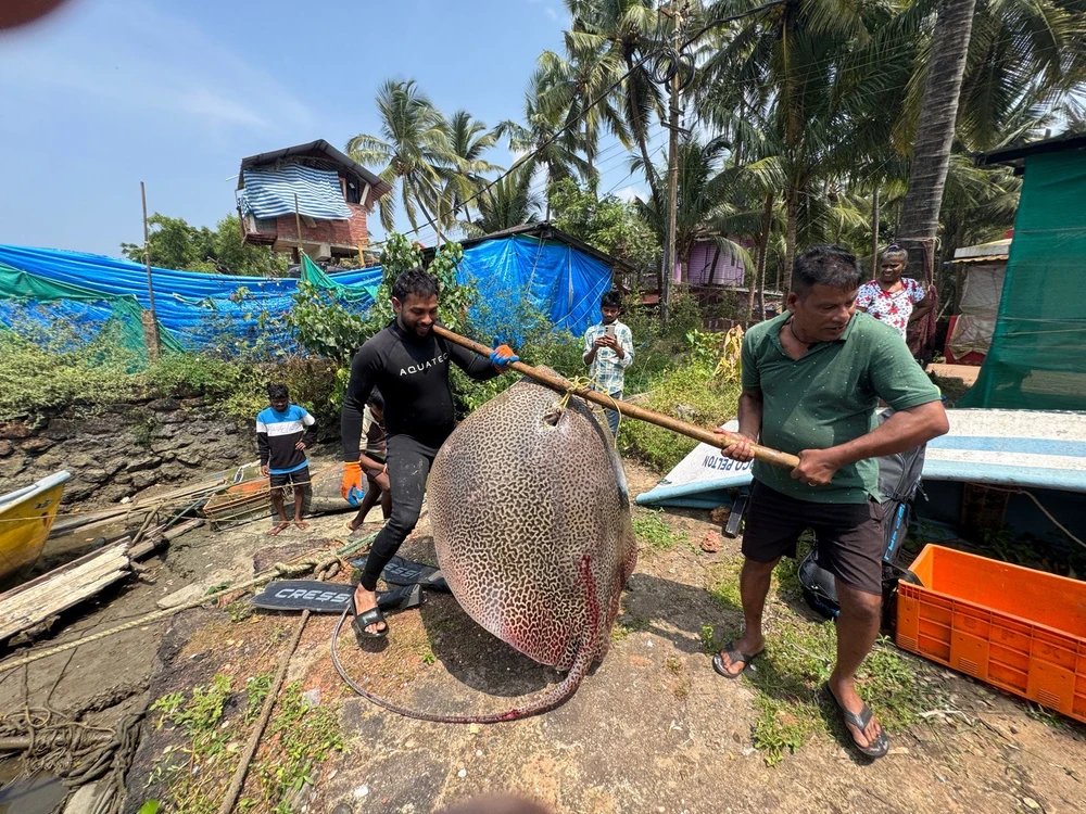 GIF uploaded by Zac xec