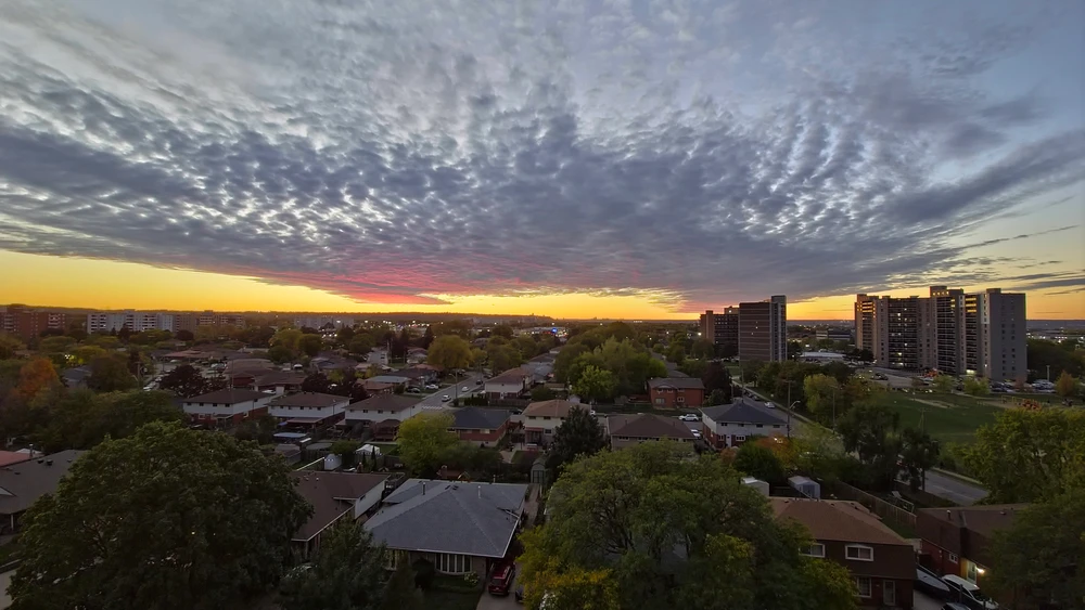 Image uploaded by Aaron