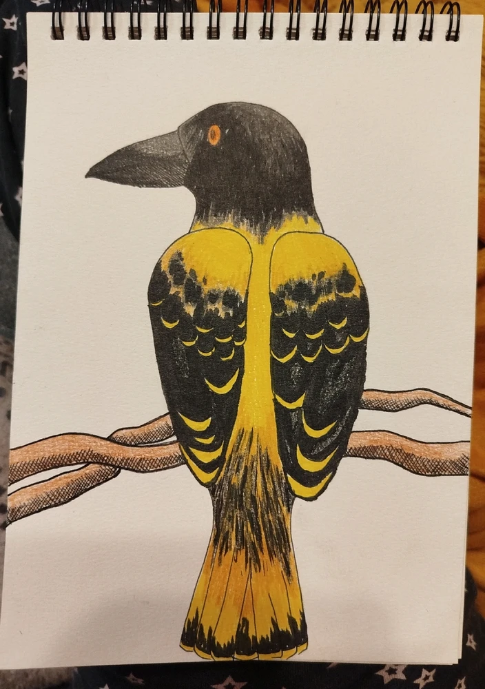 GIF hochgeladen von Bella