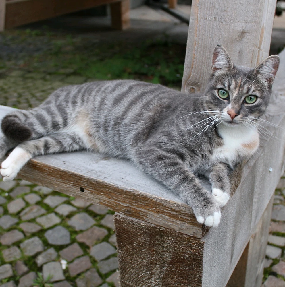 GIF uploaded by Nick