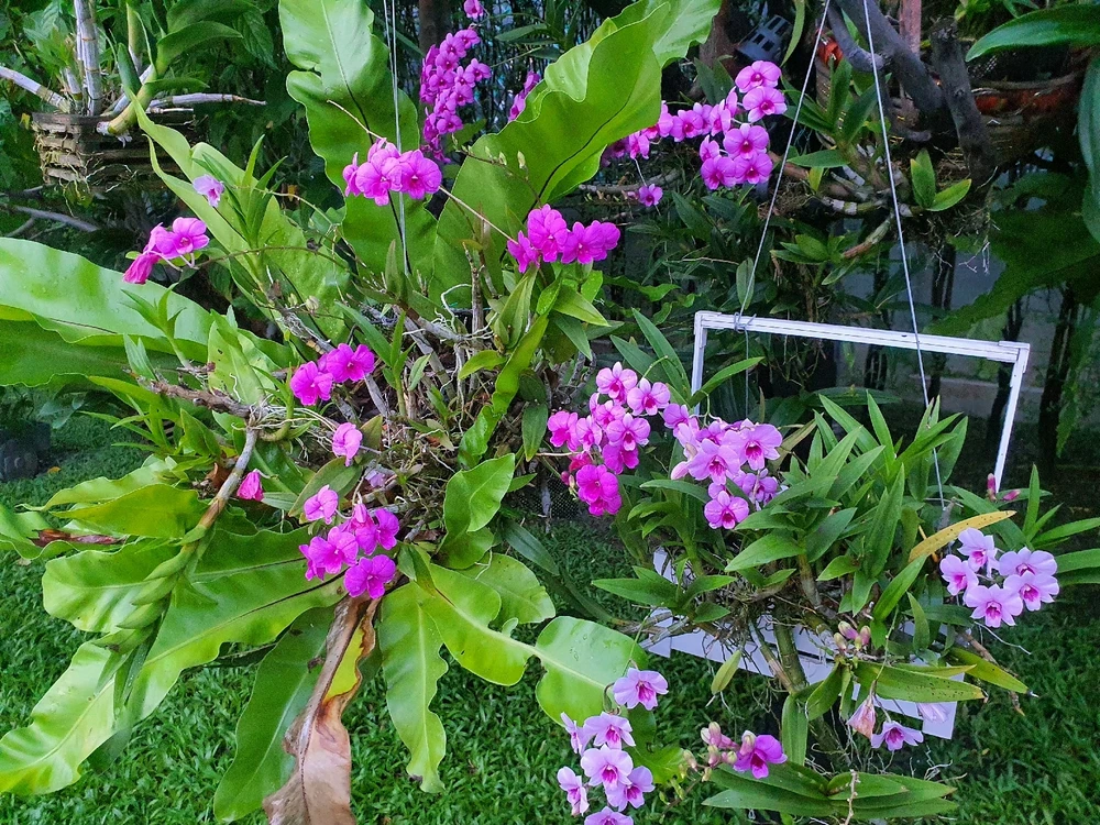 GIF uploaded by Earth