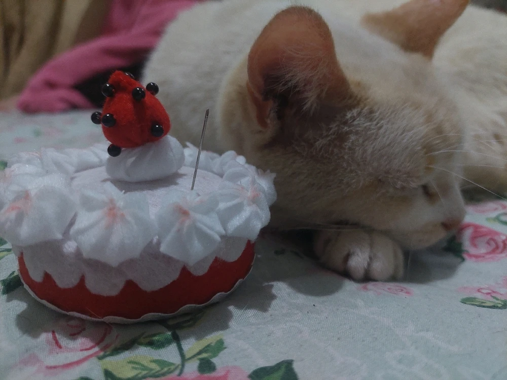 Image uploaded by Àgata M