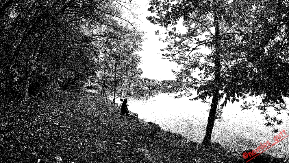 Image uploaded by Mike