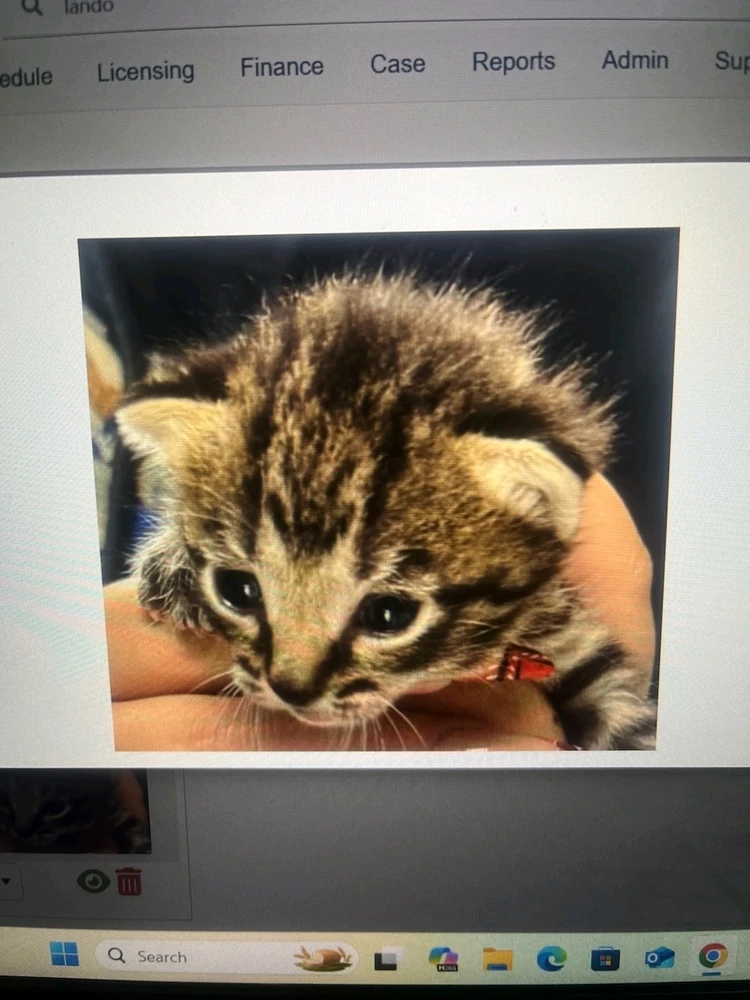 GIF diunggah dening Korey