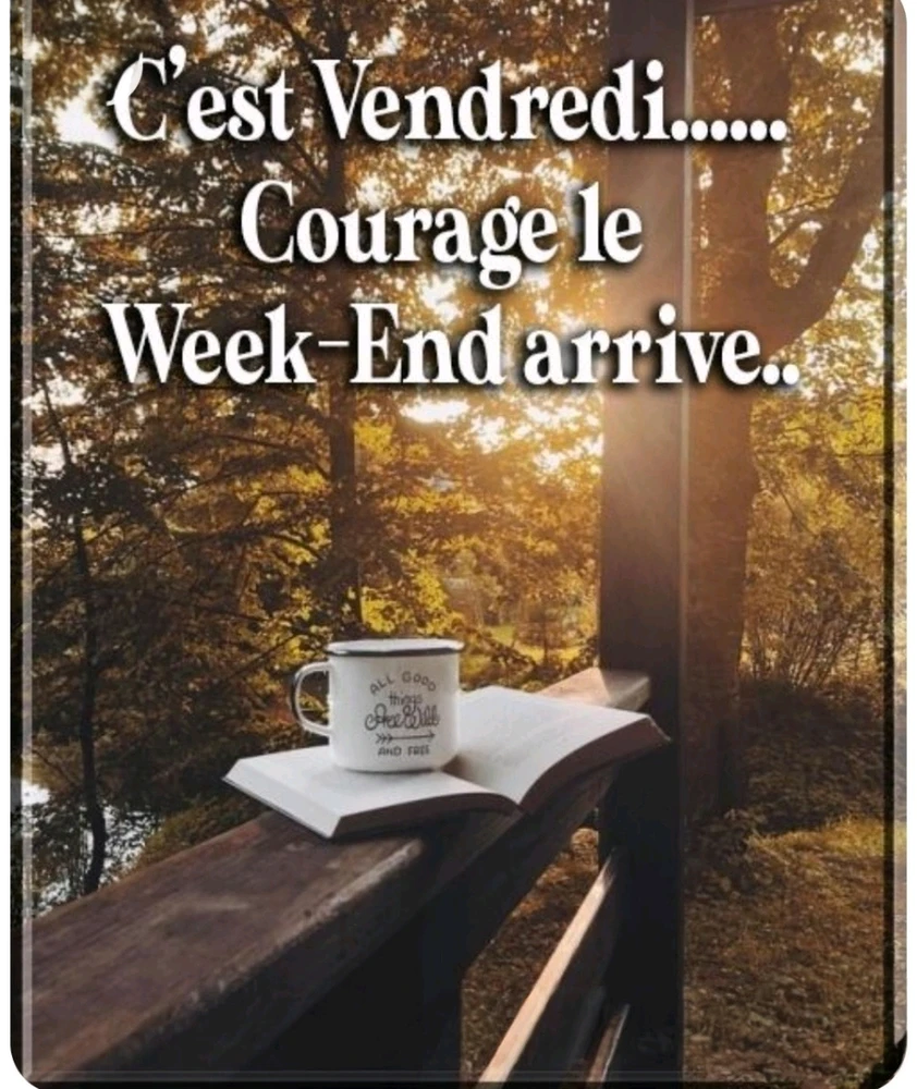 Un coucou du matin 🙋