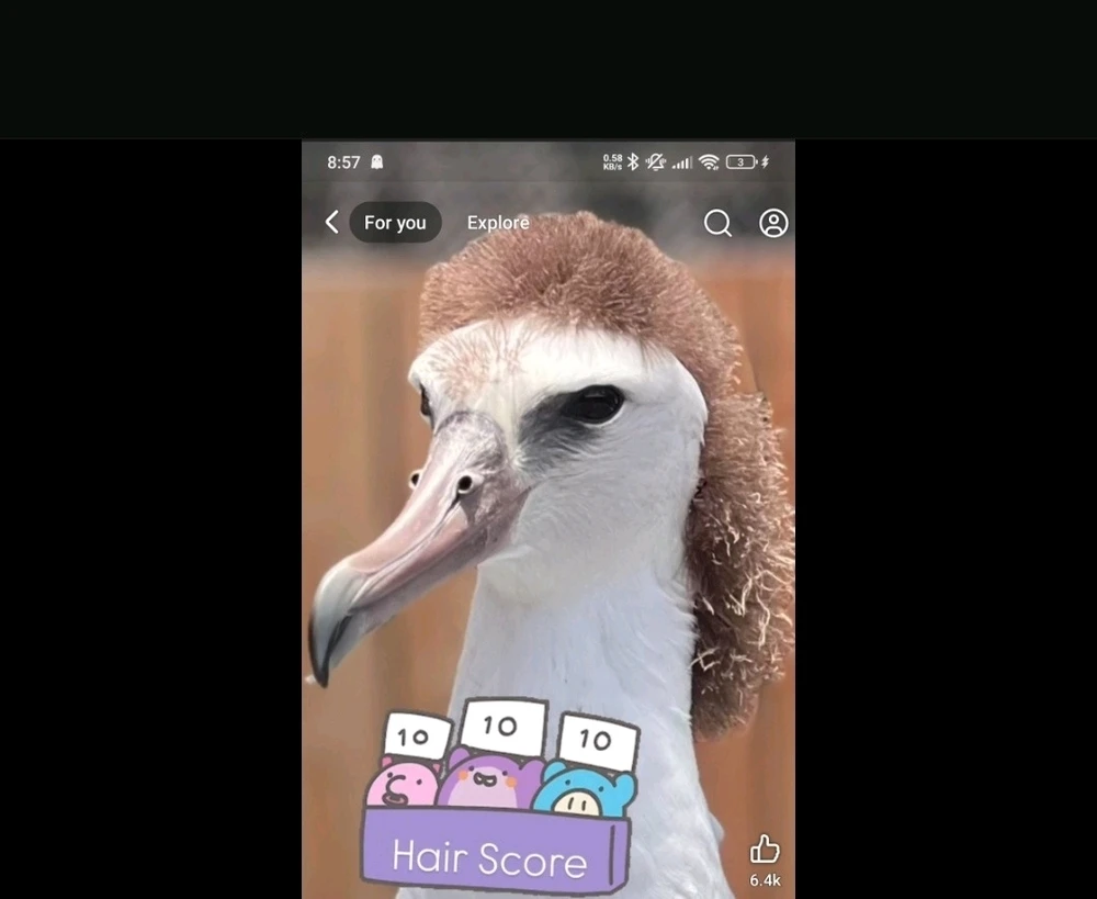 GIF uploaded by Kieran