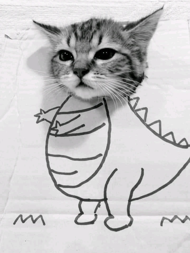 GIF hochgeladen von Doris