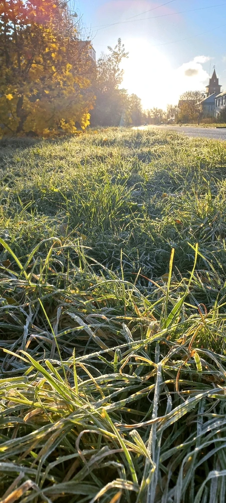 Image uploaded by Maria (Masha)