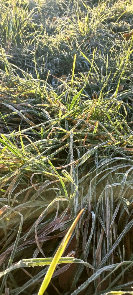 Image uploaded by Maria (Masha)