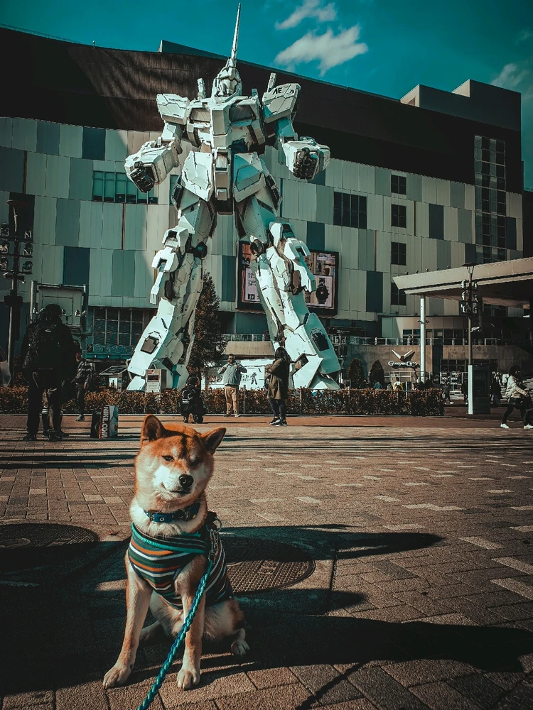 GIF uploaded by Hana