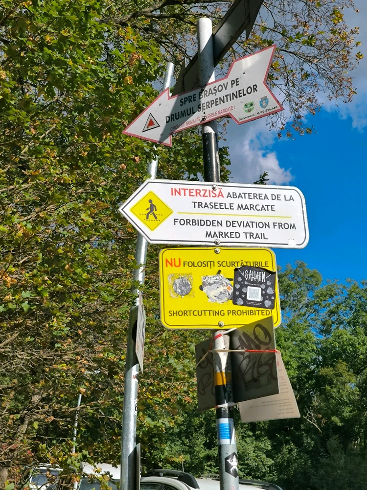 Image uploaded by Nick