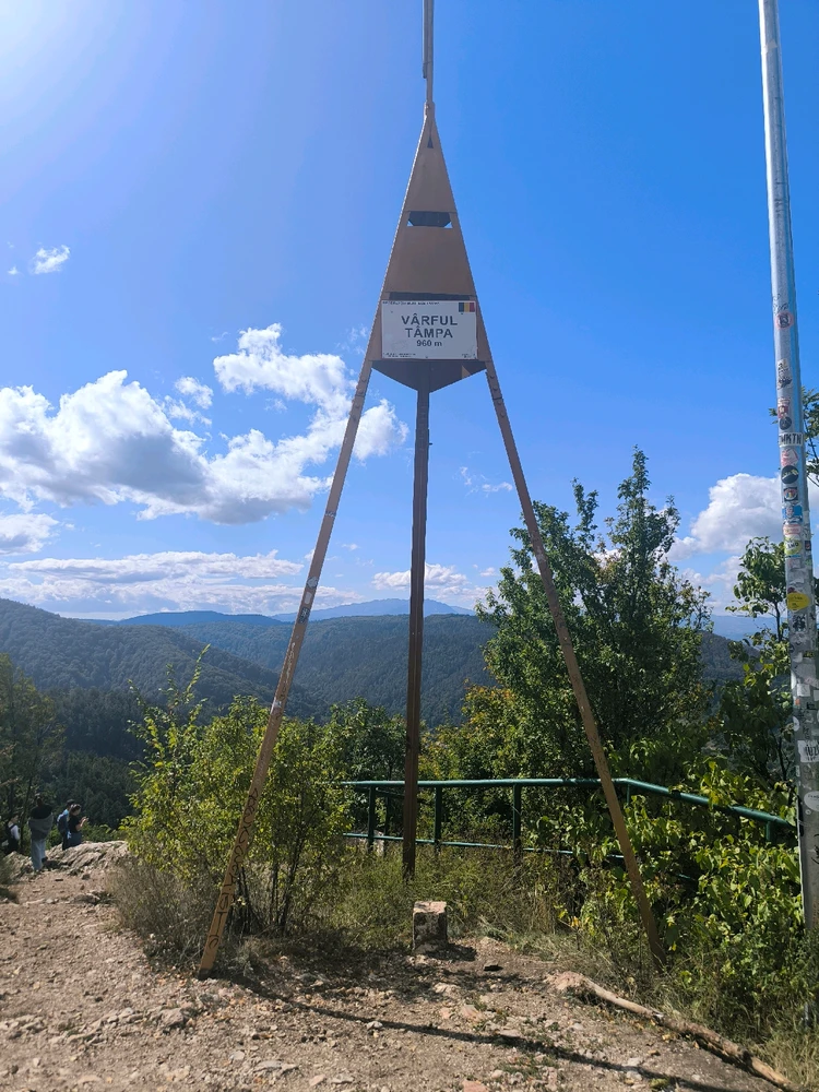 Image uploaded by Nick