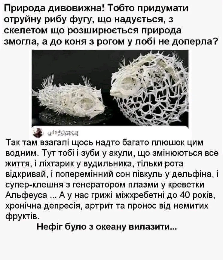 Гіфку завантажив Ksju_Ost